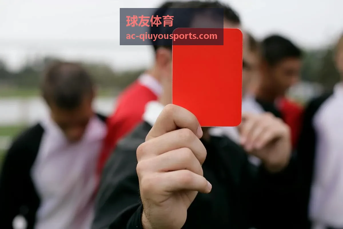 球友体育角色图鉴稀有级角色展示